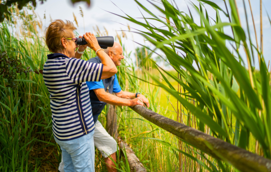 birdwatchers
